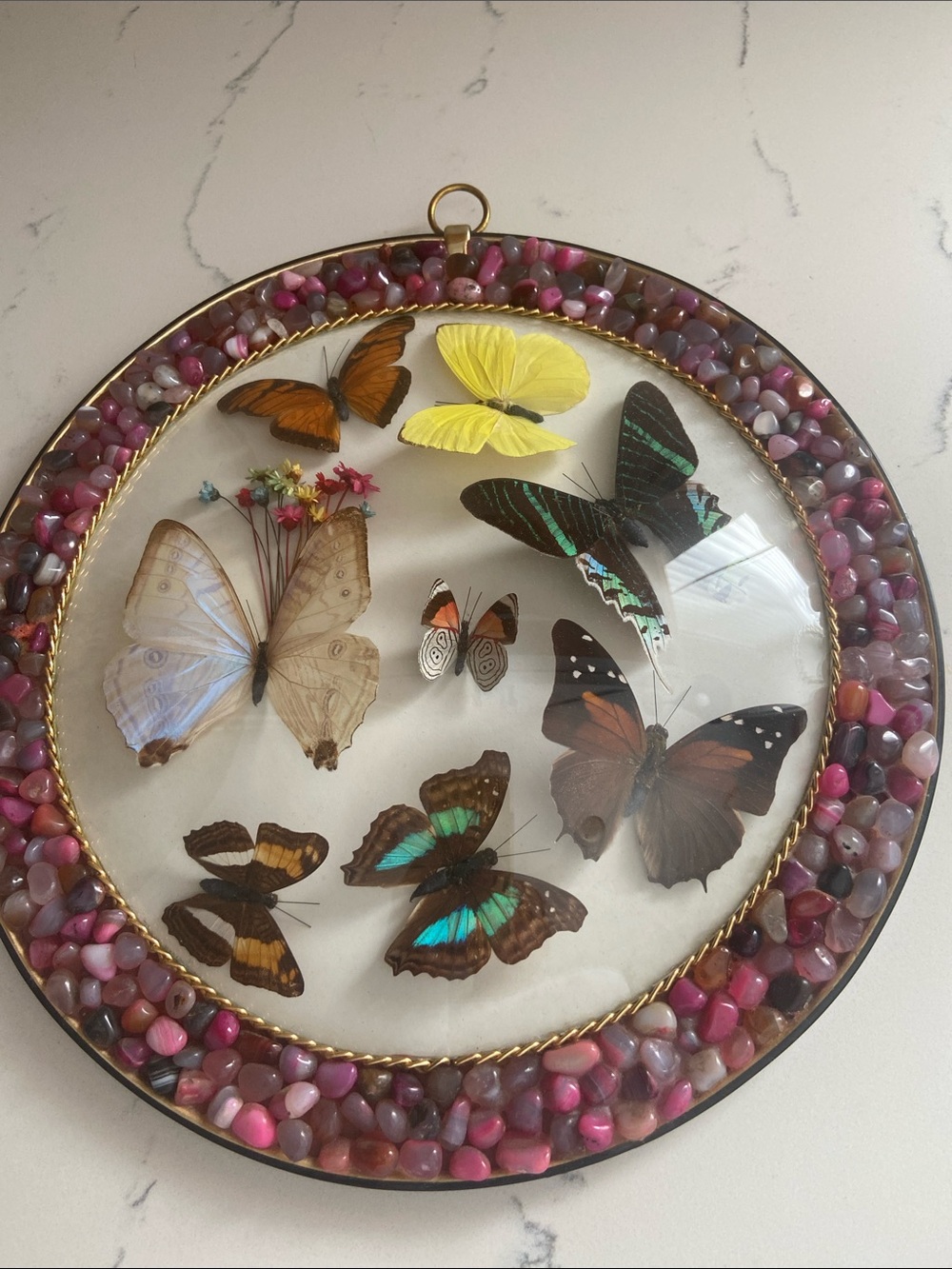 Vintage Peru Real Butterfly Specimen Wall Art Stone 10"